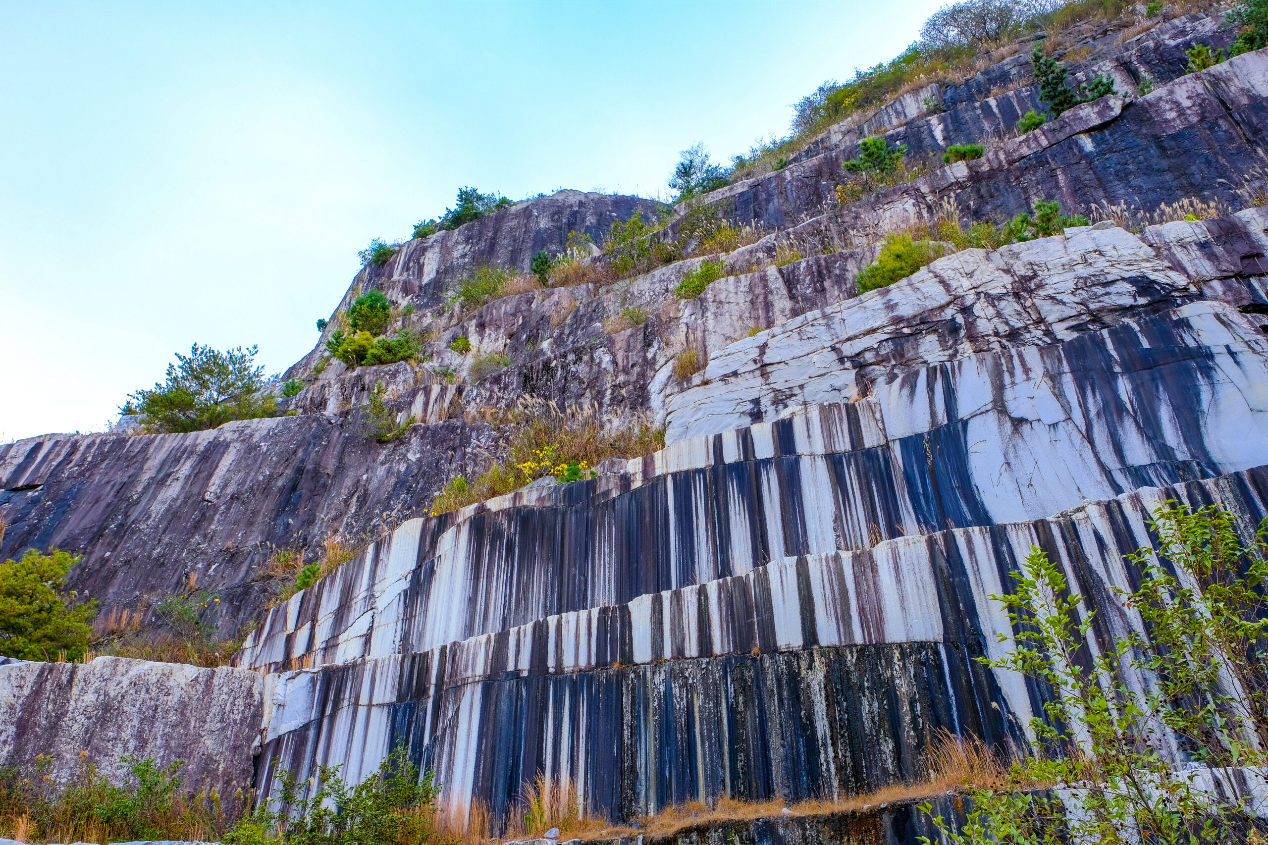 大島の風土が育んだ石